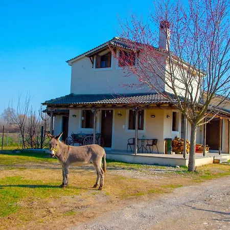 Villa Το Σπίτι Στο Αγρόκτημα Drosero Exterior foto