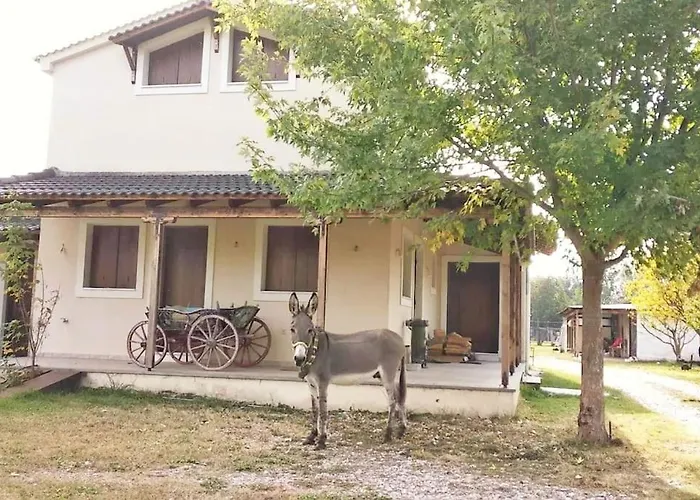 Το Σπίτι Στο Αγρόκτημα