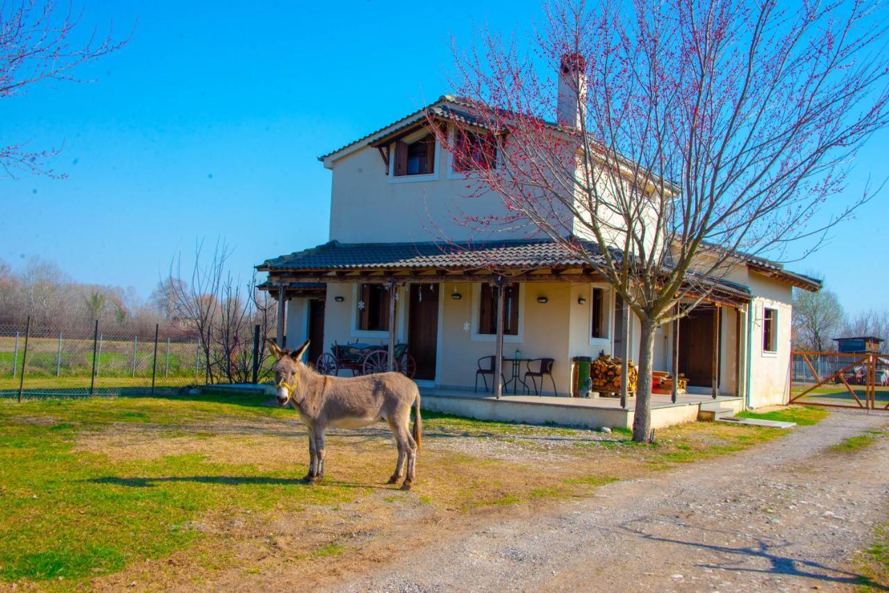 το σπίτι στο αγρόκτημα Drosero (Trikala)