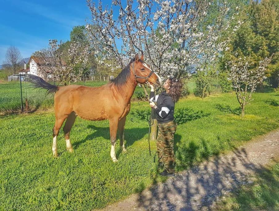 το σπίτι στο αγρόκτημα *