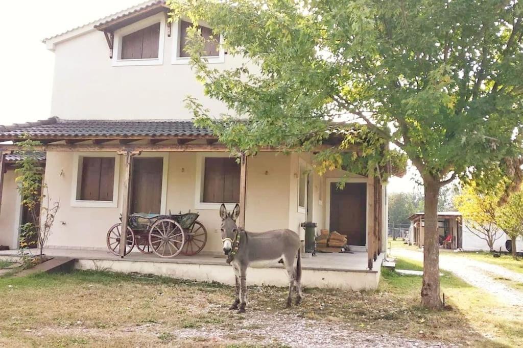 το σπίτι στο αγρόκτημα * Drosero (Trikala)